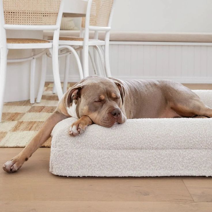 Rechthoekig Huisdierenbed – Dikke Orthopedische Hondenmand & Kattenbed | Comfortabel Huisdier Sofa Kussen